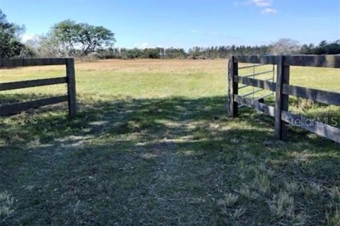 Terreno en venta en Fort Meade, Florida № 1744933 - foto 7