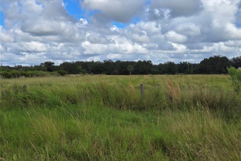 Terrain à vendre à Arcadia, Floride № 2105561 - photo 2