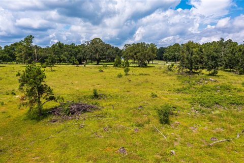 Terreno en venta en Fort White, Florida № 1884227 - foto 18