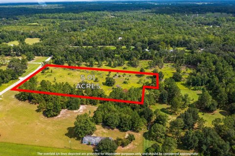 Terreno en venta en Fort White, Florida № 1884227 - foto 12