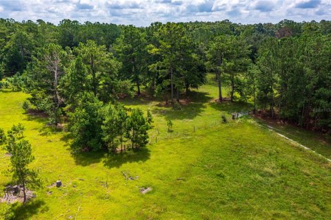 Terreno en venta en Fort White, Florida № 1884227 - foto 14