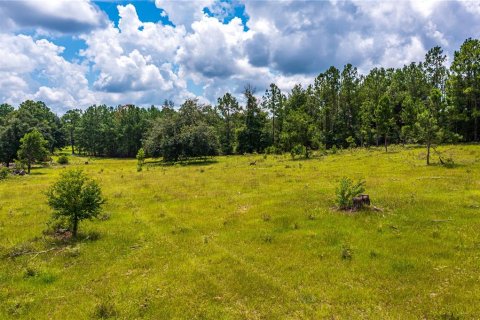 Terreno en venta en Fort White, Florida № 1884227 - foto 19