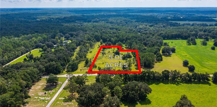 Terreno en Fort White, Florida № 1884227
