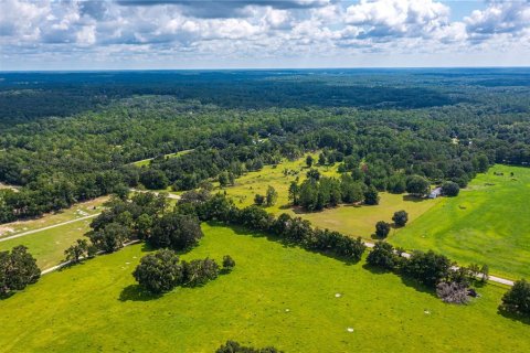 Terreno en venta en Fort White, Florida № 1884227 - foto 8