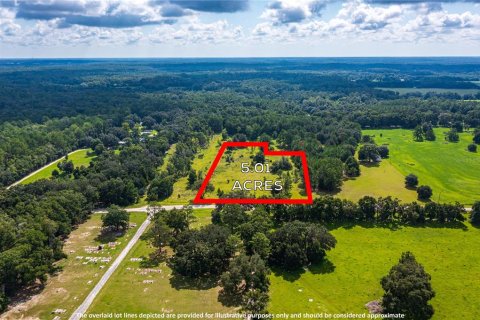 Terreno en venta en Fort White, Florida № 1884227 - foto 4