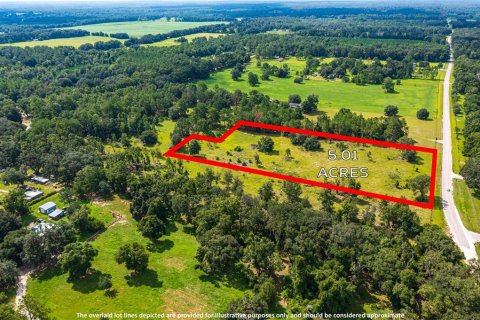 Terreno en venta en Fort White, Florida № 1884227 - foto 15