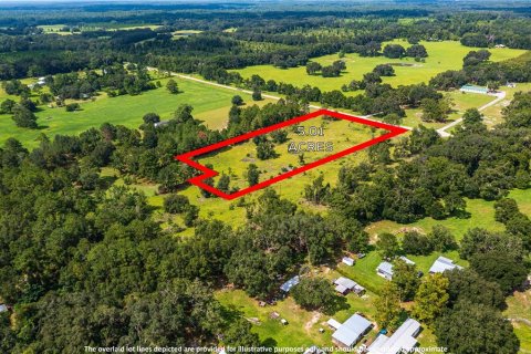 Terreno en venta en Fort White, Florida № 1884227 - foto 10