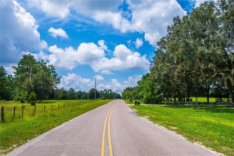 Terreno en venta en Fort White, Florida № 1884227 - foto 5