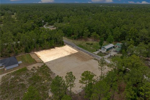 Land in Ocala, Florida № 2199205 - photo 4