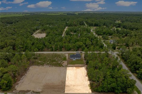 Land in Ocala, Florida № 2199205 - photo 2
