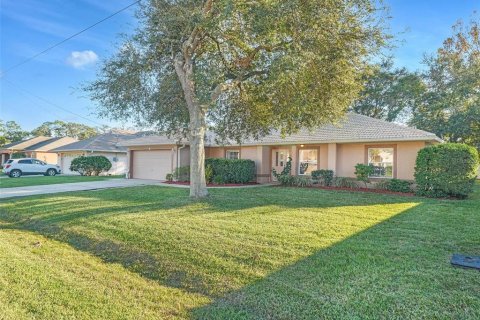 Villa ou maison à vendre à Palm Coast, Floride: 4 chambres, 207.17 m2 № 1552486 - photo 1