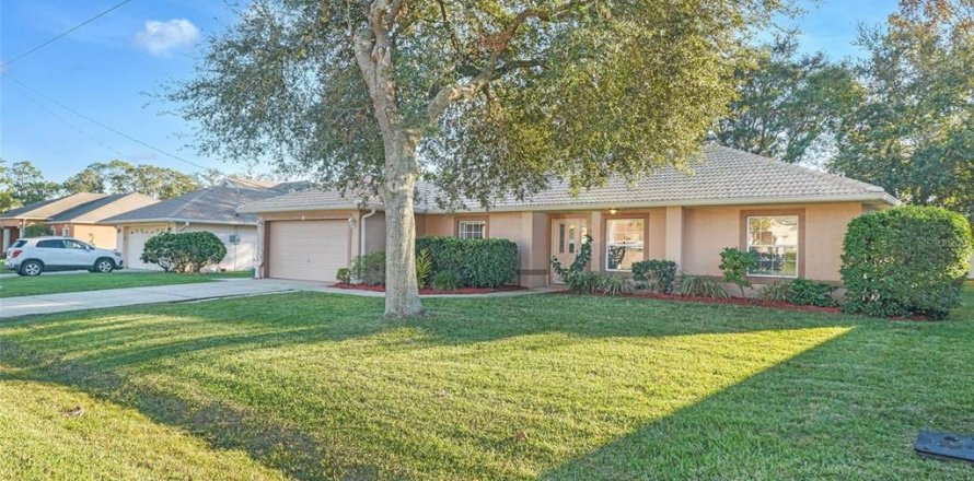 Villa ou maison à Palm Coast, Floride 4 chambres, 207.17 m2 № 1552486