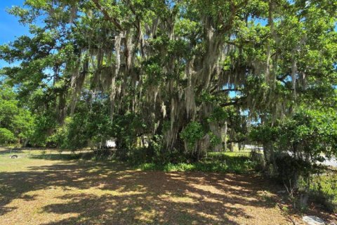 Villa ou maison à vendre à Fellsmere, Floride: 3 chambres, 154.03 m2 № 2077520 - photo 6