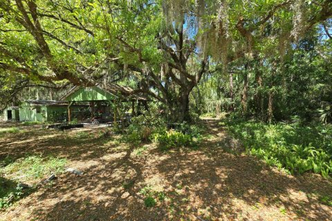Villa ou maison à vendre à Fellsmere, Floride: 3 chambres, 154.03 m2 № 2077520 - photo 7