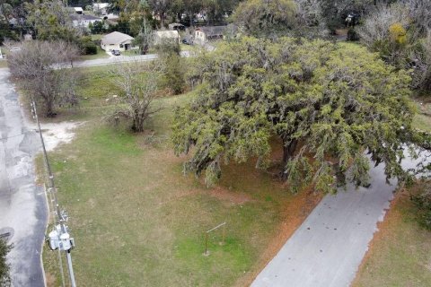 Commercial property in Belleview, Florida 2137.77 sq.m. № 1522350 - photo 18
