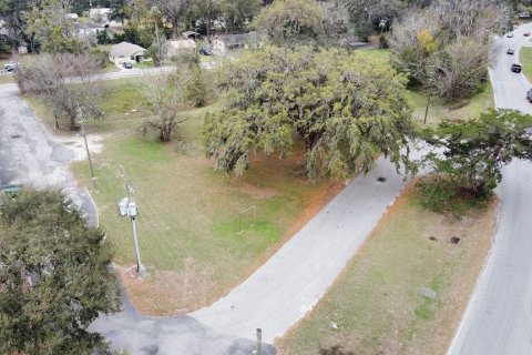 Commercial property in Belleview, Florida 2137.77 sq.m. № 1522350 - photo 19