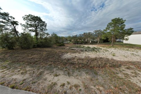 Land in Spring Hill, Florida № 1547643 - photo 8