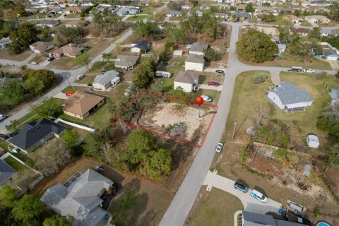 Land in Spring Hill, Florida № 1547643 - photo 11