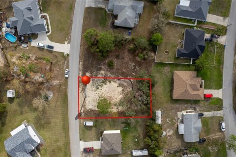 Land in Spring Hill, Florida № 1547643 - photo 19
