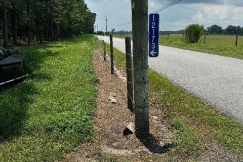 Land in Oxford, Florida № 1909314 - photo 1