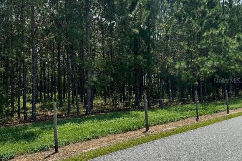 Land in Oxford, Florida № 1909314 - photo 3