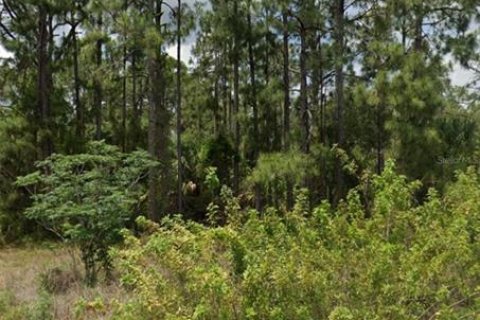 Land in Lehigh Acres, Florida № 2211664 - photo 3