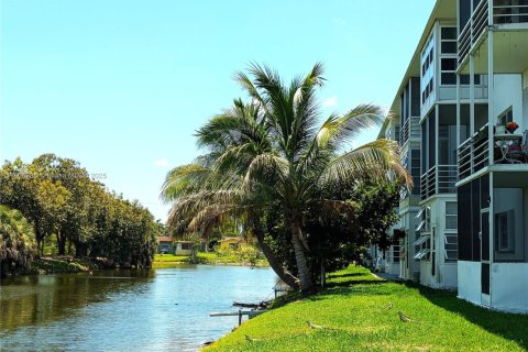 Condo in Lauderhill, Florida, 1 bedroom  № 1743893 - photo 1
