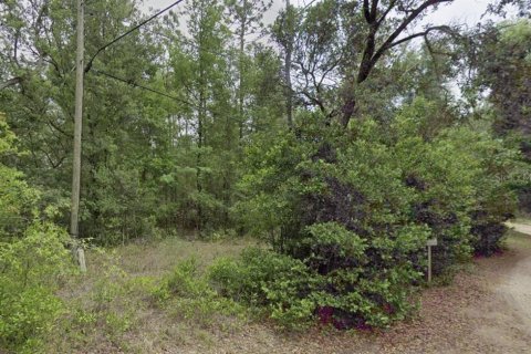 Land in Dunnellon, Florida № 2165841
