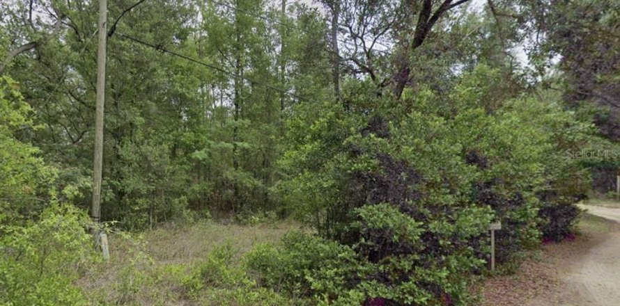 Land in Dunnellon, Florida № 2165841