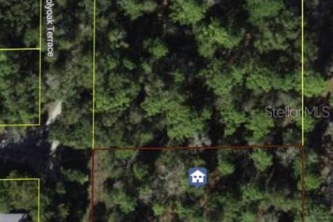 Land in Dunnellon, Florida № 2165841 - photo 12