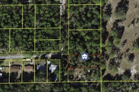 Land in Dunnellon, Florida № 2165841 - photo 11