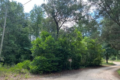 Land in Dunnellon, Florida № 2165841 - photo 6