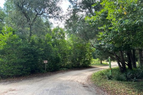 Land in Dunnellon, Florida № 2165841 - photo 2