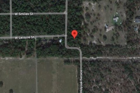 Land in Dunnellon, Florida № 2165841 - photo 8