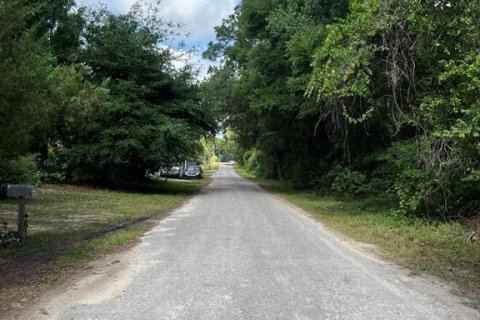 Land in Dunnellon, Florida № 2165841 - photo 3