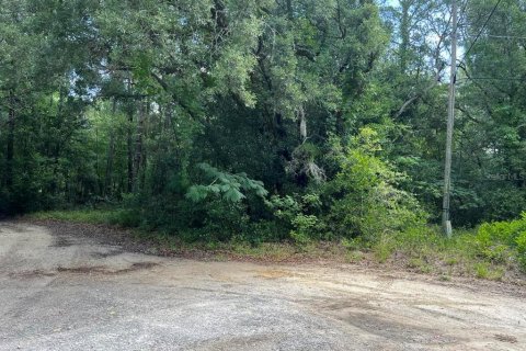Land in Dunnellon, Florida № 2165841 - photo 4