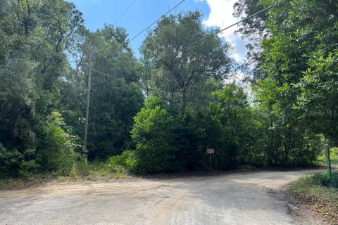 Land in Dunnellon, Florida № 2165841 - photo 10