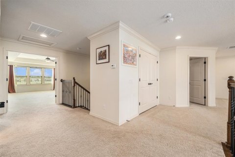 House in Lutz, Florida 5 bedrooms, 328.04 sq.m. № 1803432 - photo 19