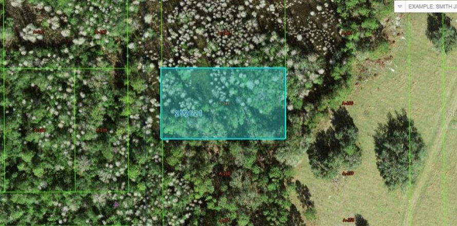 Terreno en Polk City, Florida № 2228815