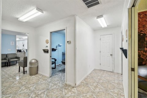 Commercial property in New Port Richey, Florida 217.11 sq.m. № 1525150 - photo 13