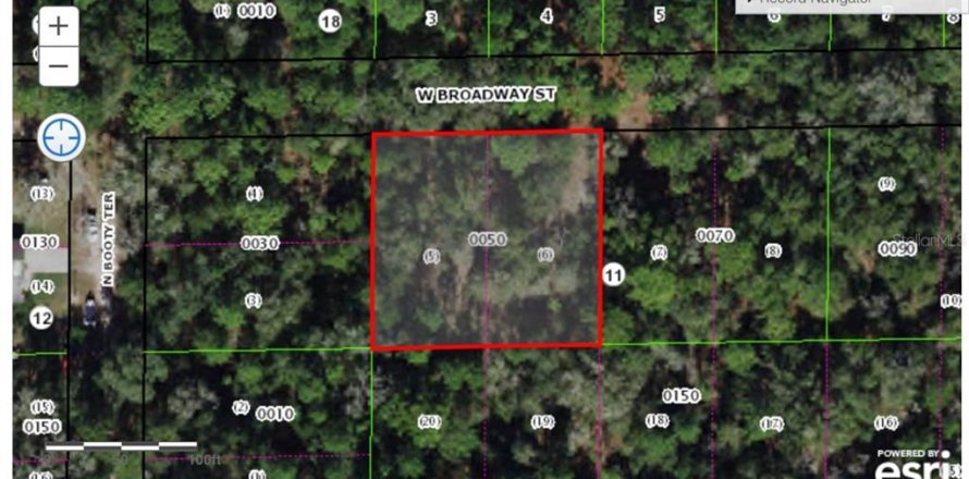 Terrain à Dunnellon, Floride № 2160177