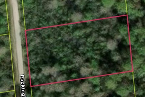 Land in Webster, Florida № 2161564