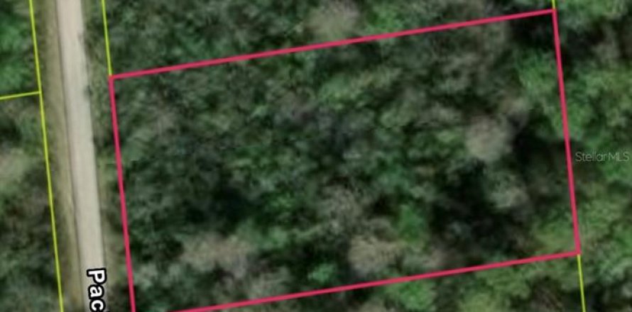 Land in Webster, Florida № 2161564