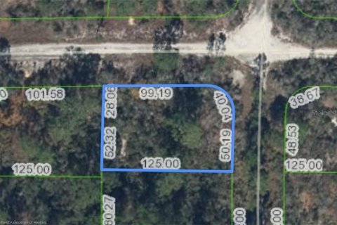 Land in Lake Placid, Florida № 2162364