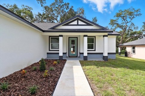 Villa ou maison à vendre à Inverness, Floride: 3 chambres, 138.42 m2 № 2144184 - photo 6