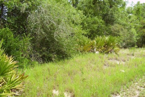 Terreno en venta en Kissimmee, Florida № 2204335 - foto 2