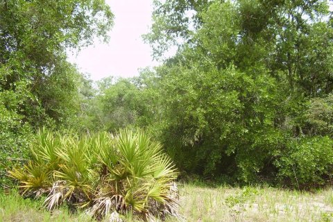 Terreno en venta en Kissimmee, Florida № 2204335 - foto 5