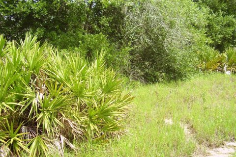 Land in Kissimmee, Florida № 2204335