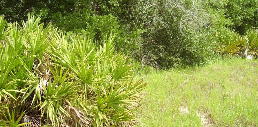Terreno en Kissimmee, Florida № 2204335