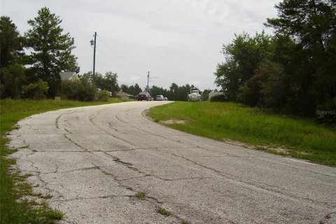 Terreno en venta en Kissimmee, Florida № 2204335 - foto 3